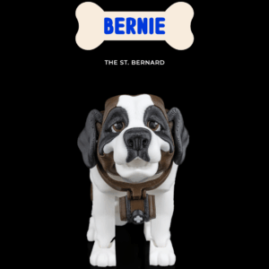 Barry, the St. Bernard