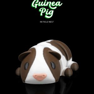 Guinea Pig in Field Nest