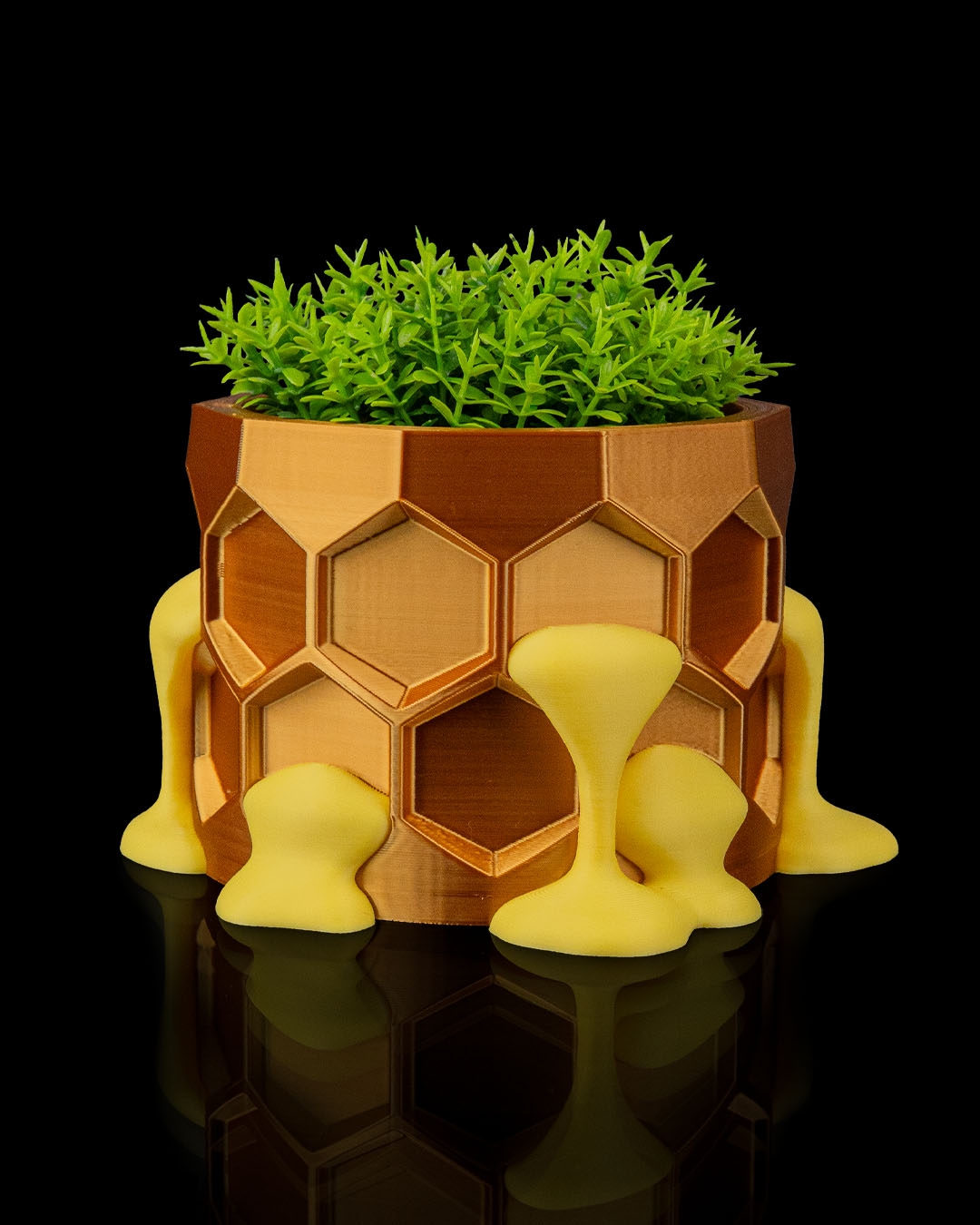 Hive Minded Planter - Image 4