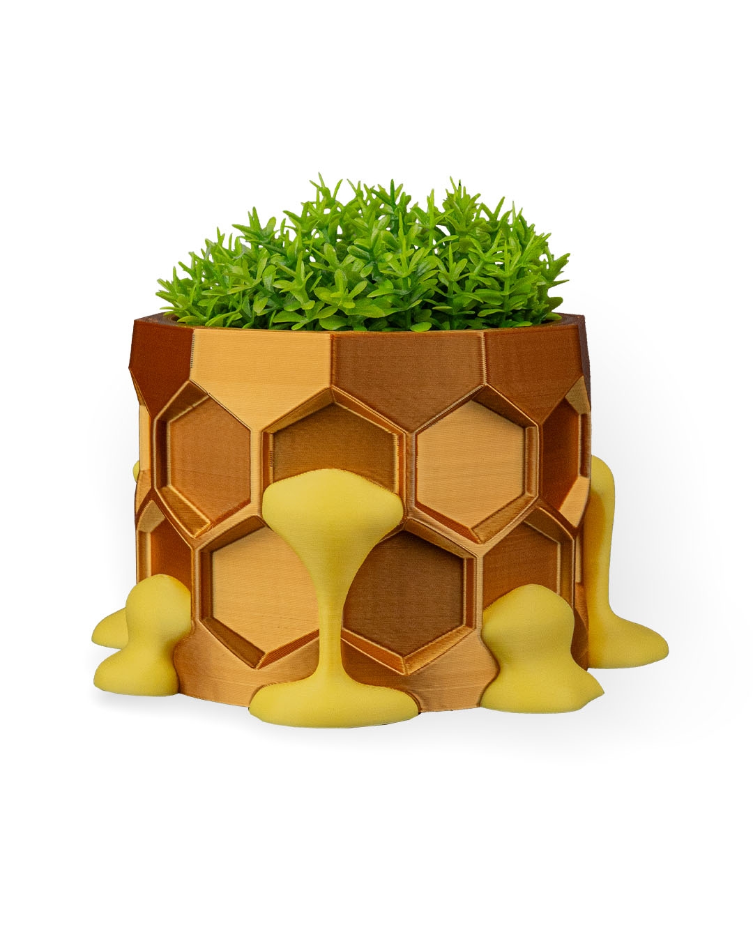 Hive Minded Planter - Image 8