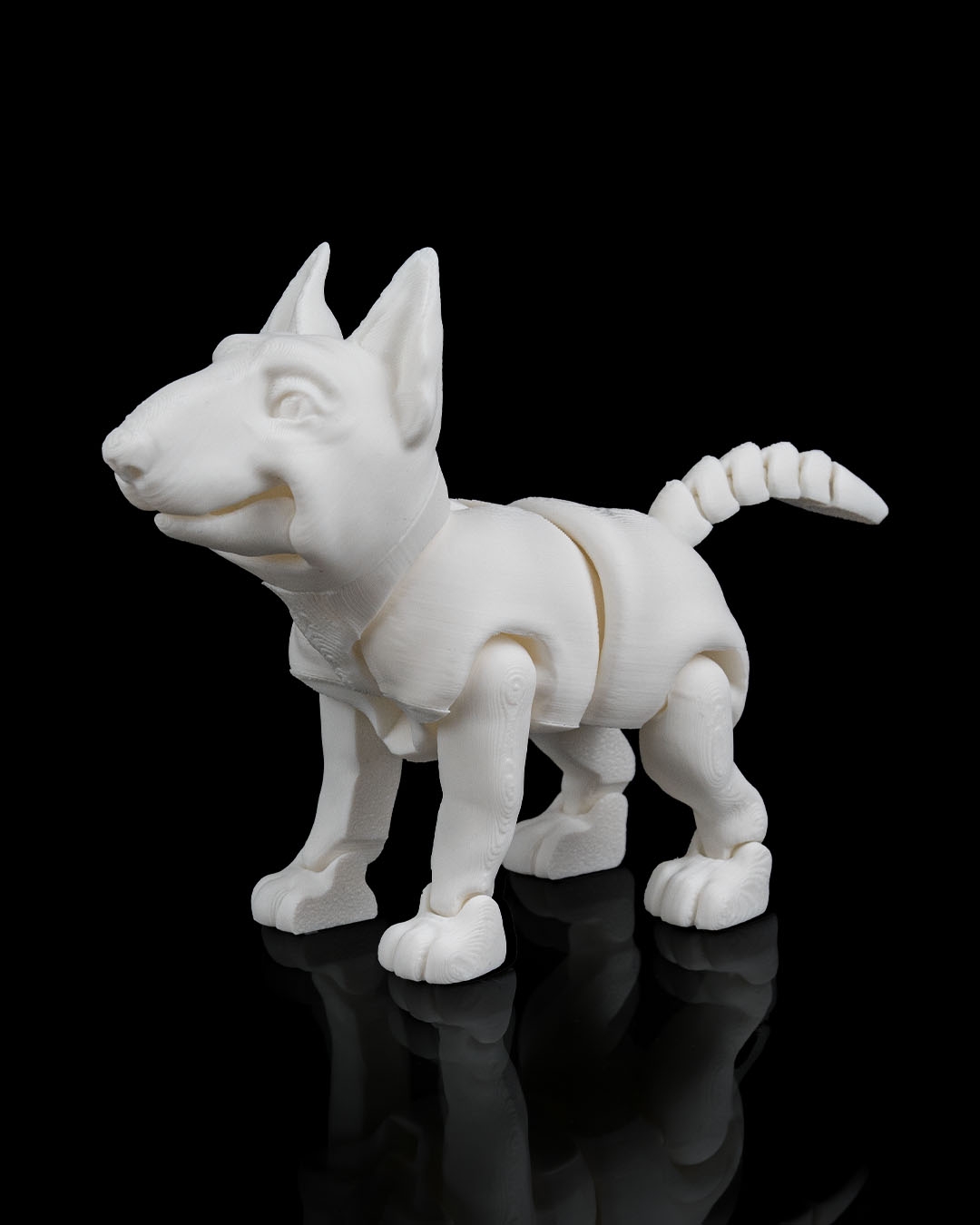 Rex, the Bull Terrier - Image 8