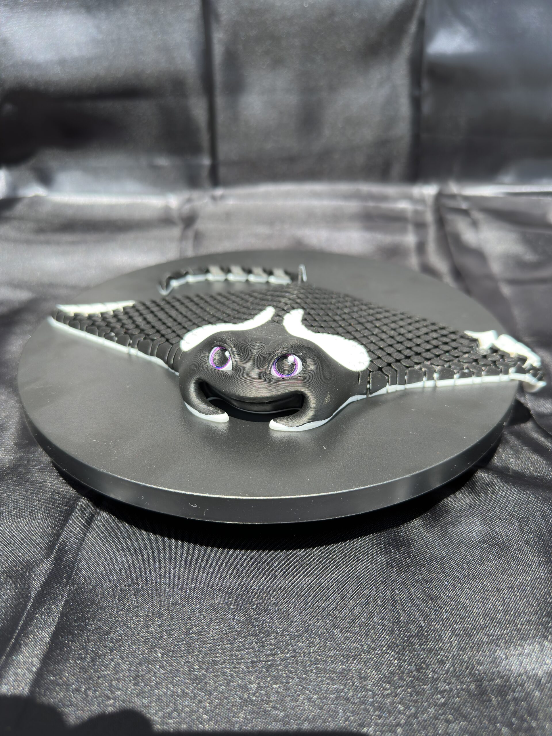 Manny, the Manta Ray