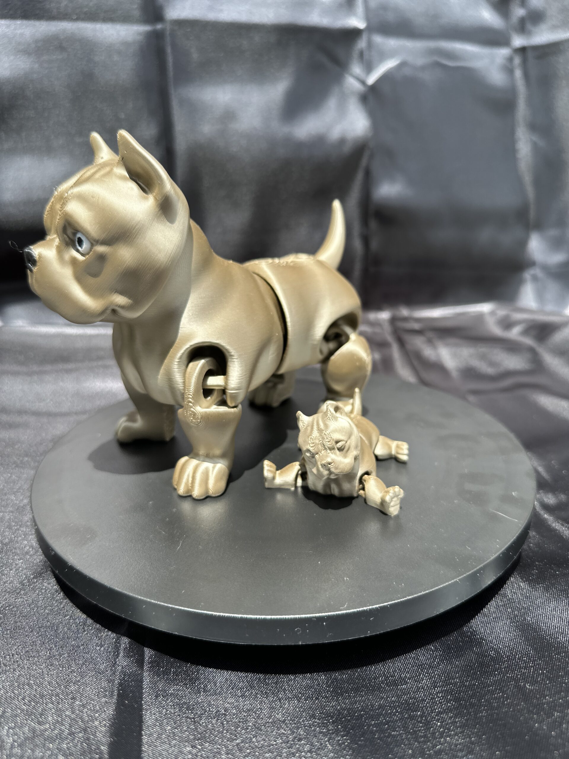 American Bully Dog - Mommy and puppy - Image 2