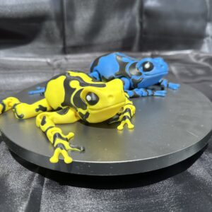 Darcy, the Poison Dart Frog