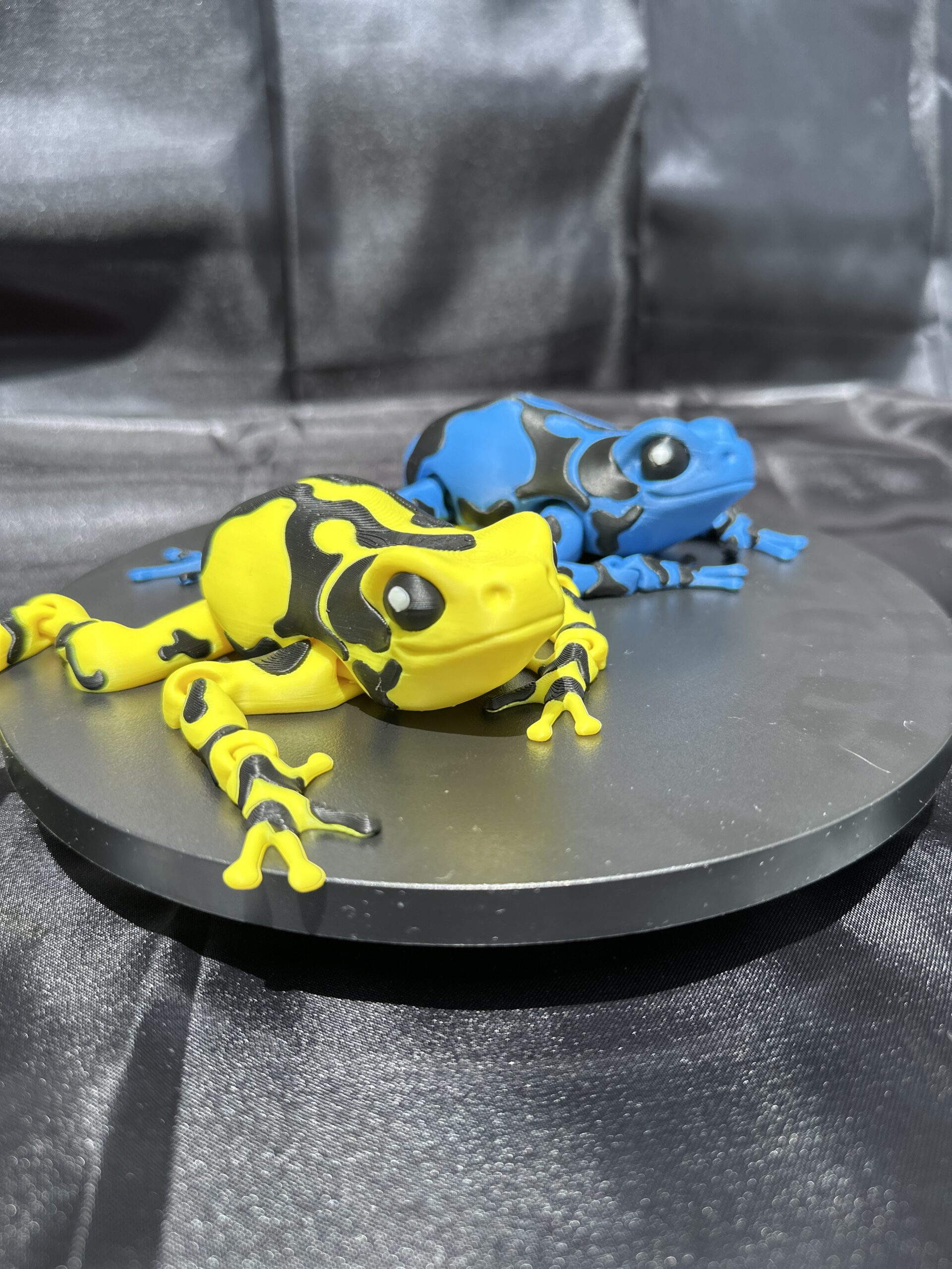 Darcy, the Poison Dart Frog