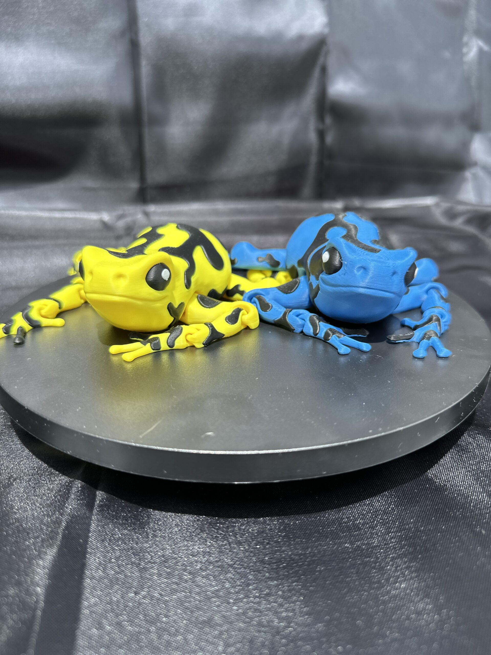 Darcy, the Poison Dart Frog - Image 2