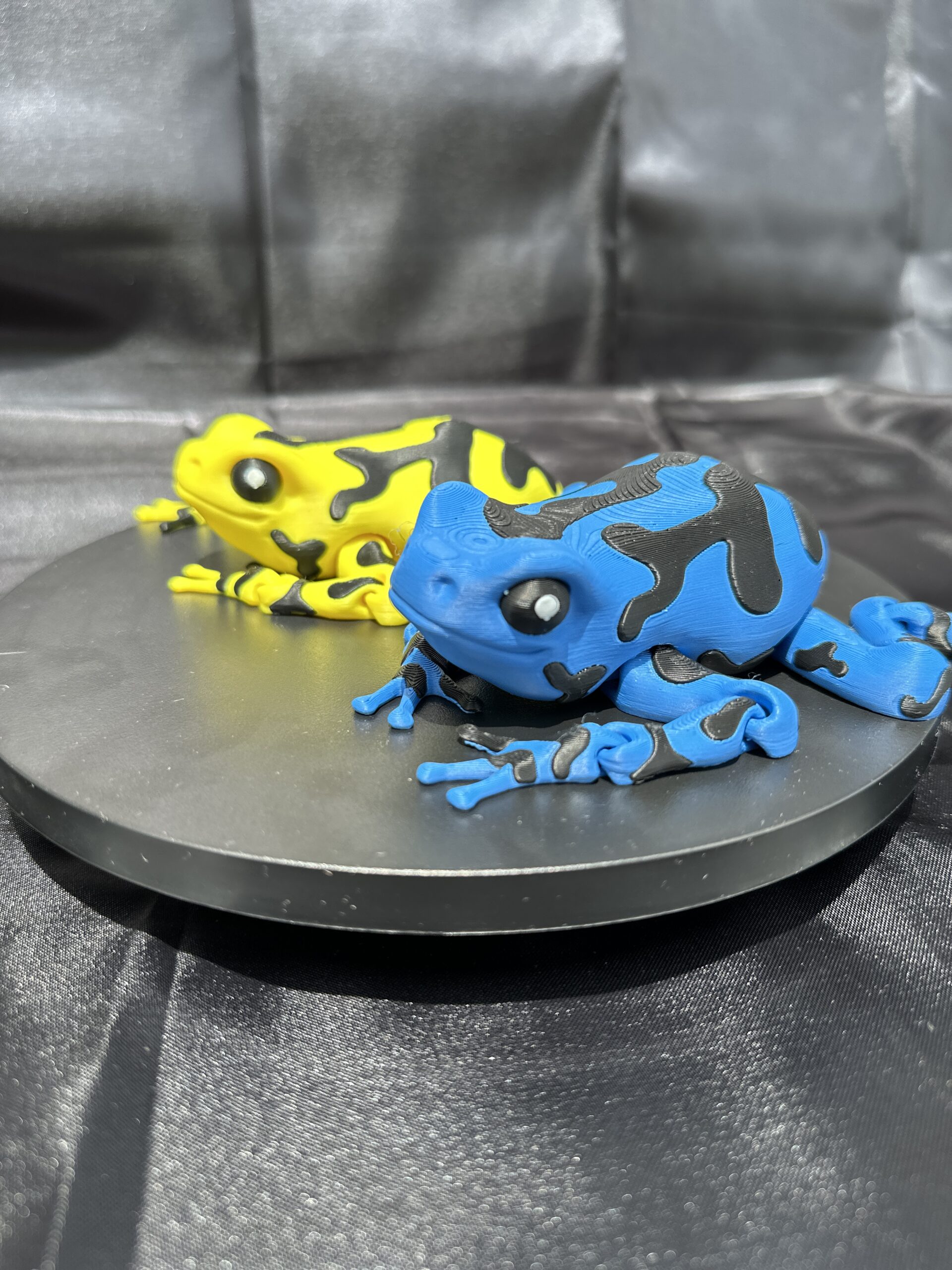 Darcy, the Poison Dart Frog - Image 3