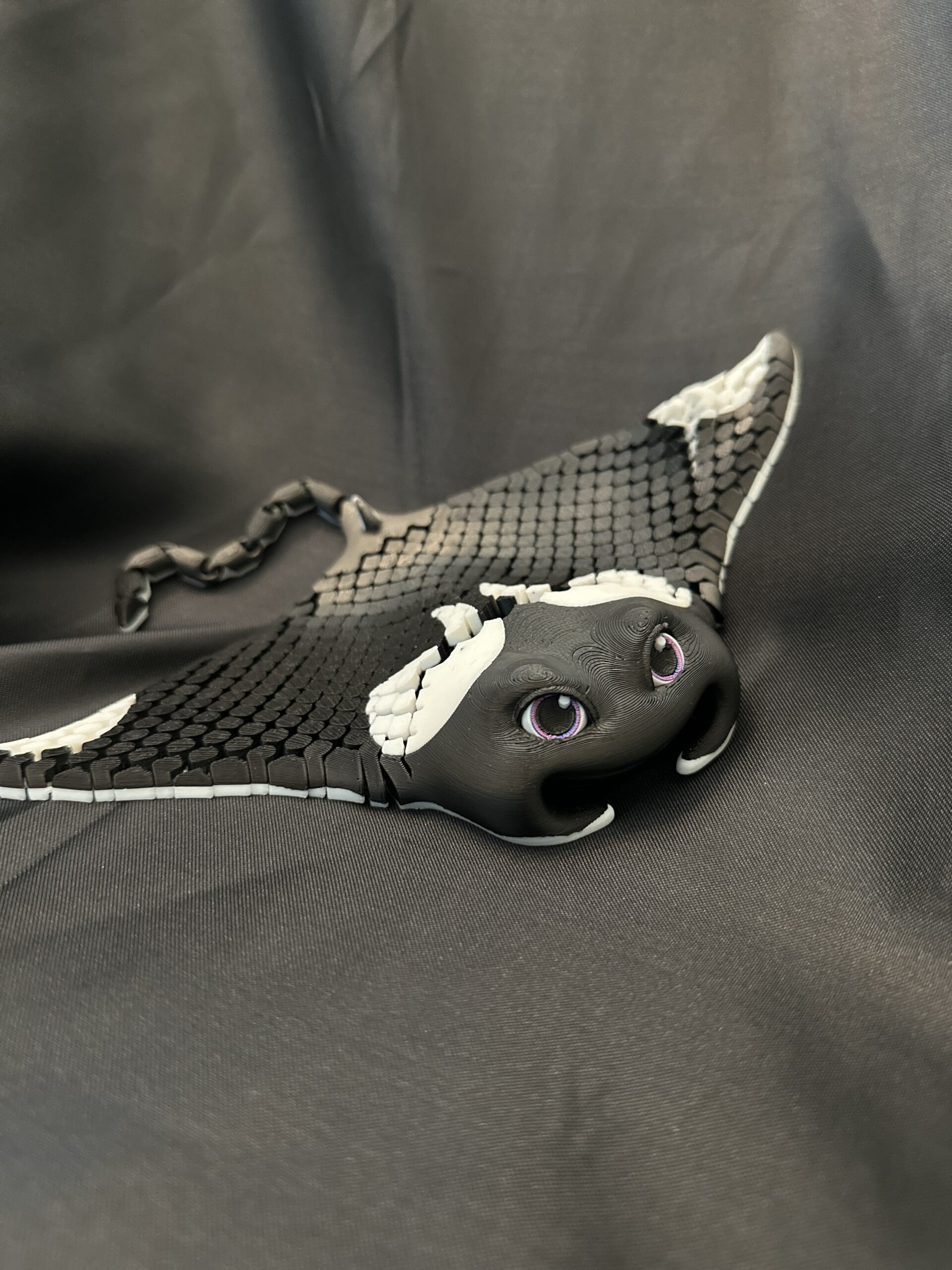 Manny, the Manta Ray - Image 2