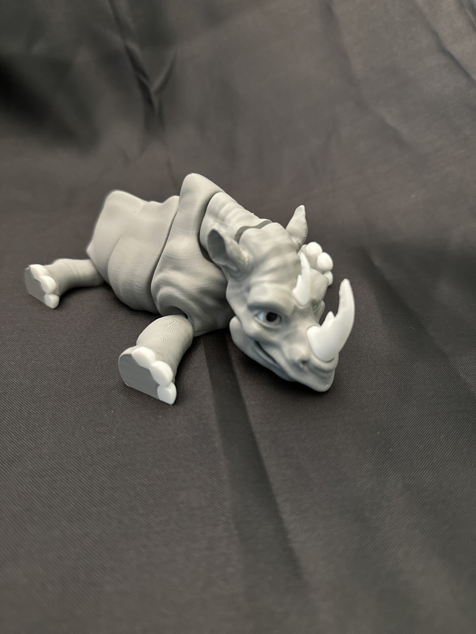 Rhinoceros - Image 3