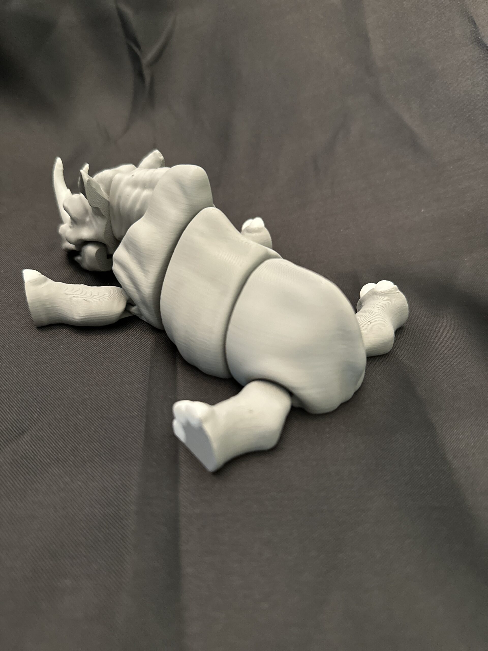 Rhinoceros - Image 4