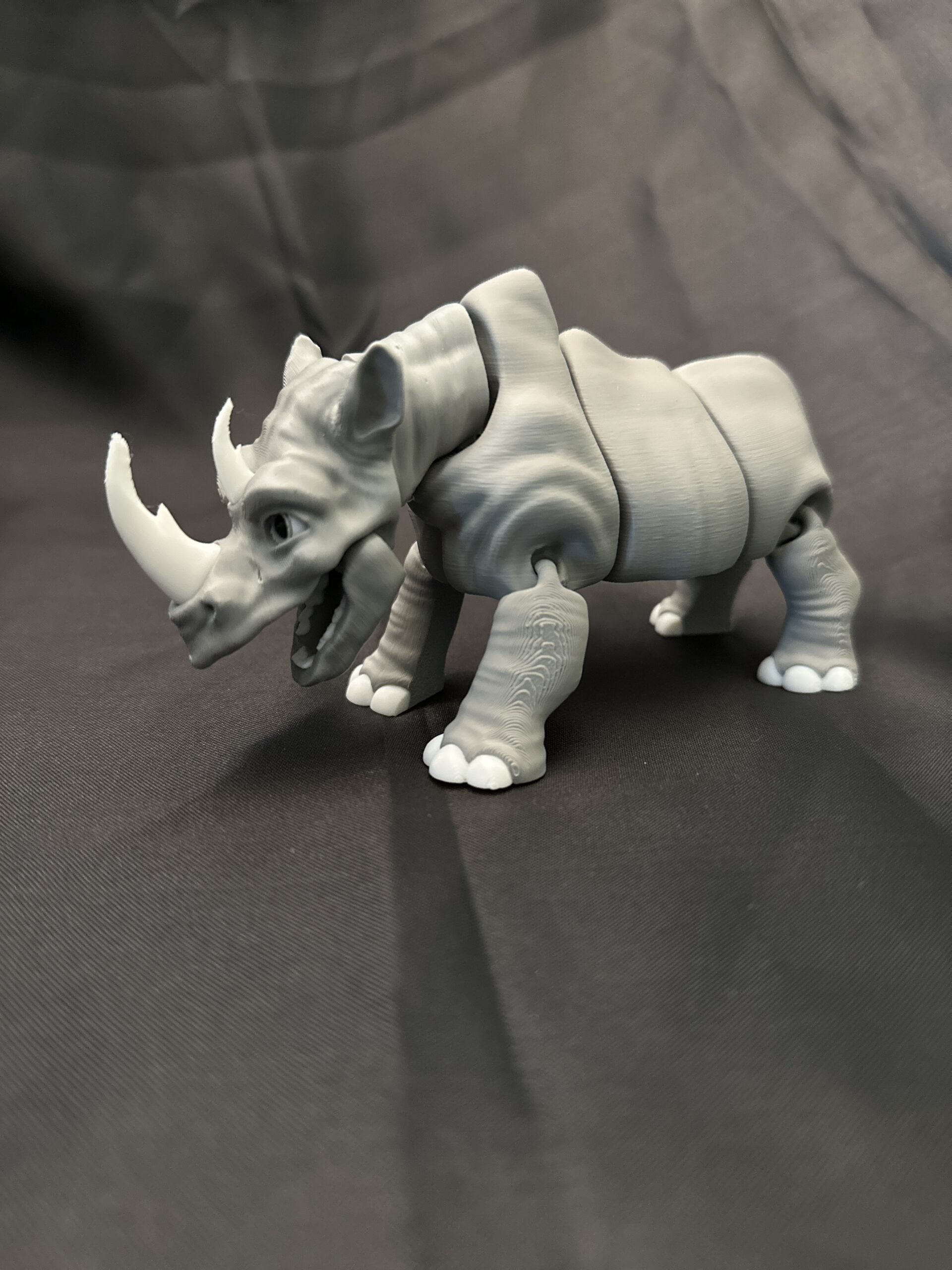 Rhinoceros - Image 5