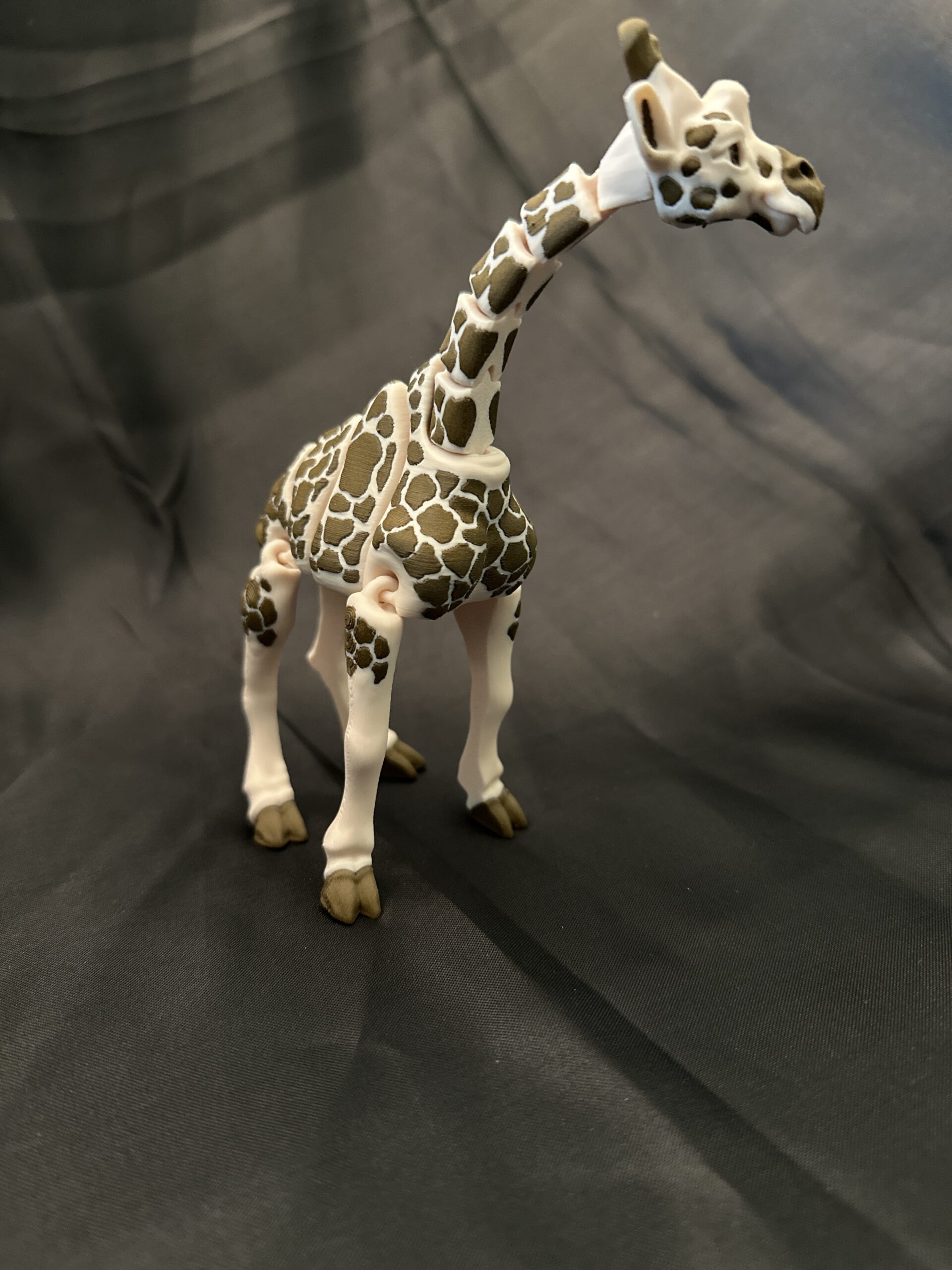 Giraffe - Image 5