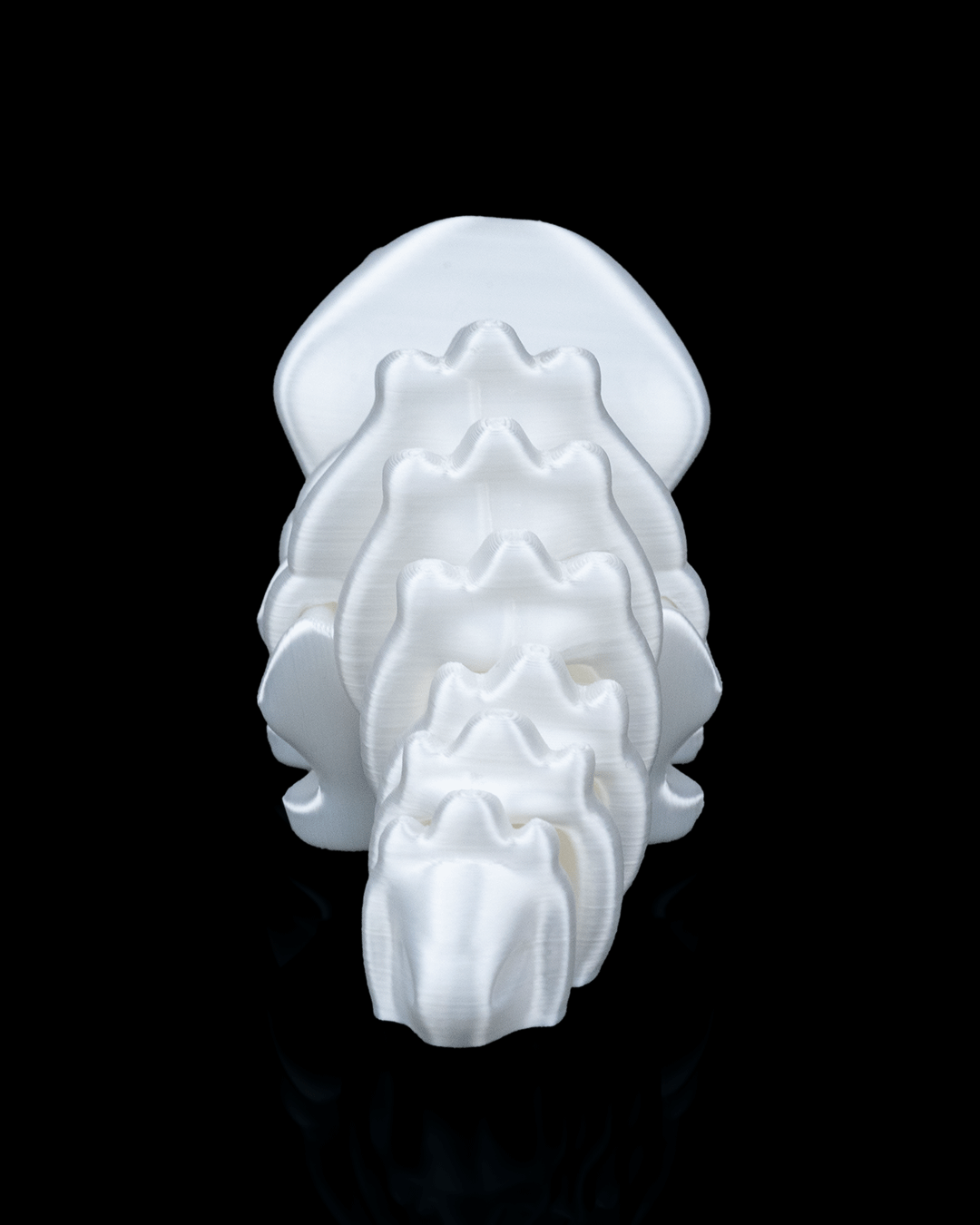 Triceratops Flexi Fossil - Image 7