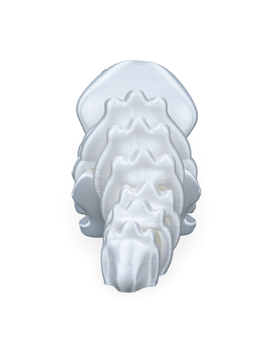 Triceratops Flexi Fossil - Image 13