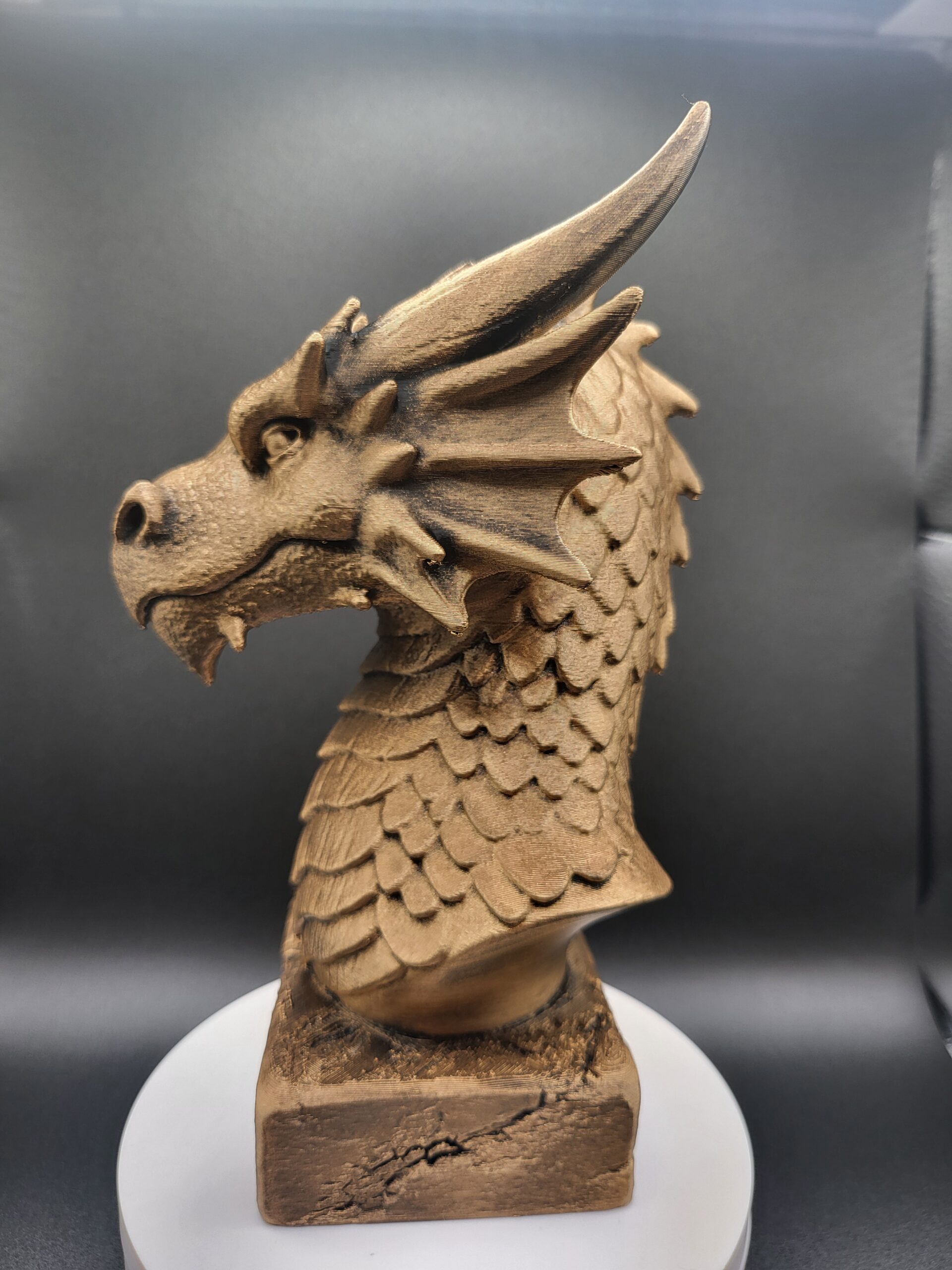 DRAGON BUST - Image 2