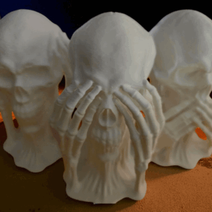 Skulls of Wisdom