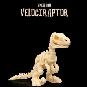 Skeleton Velociraptor