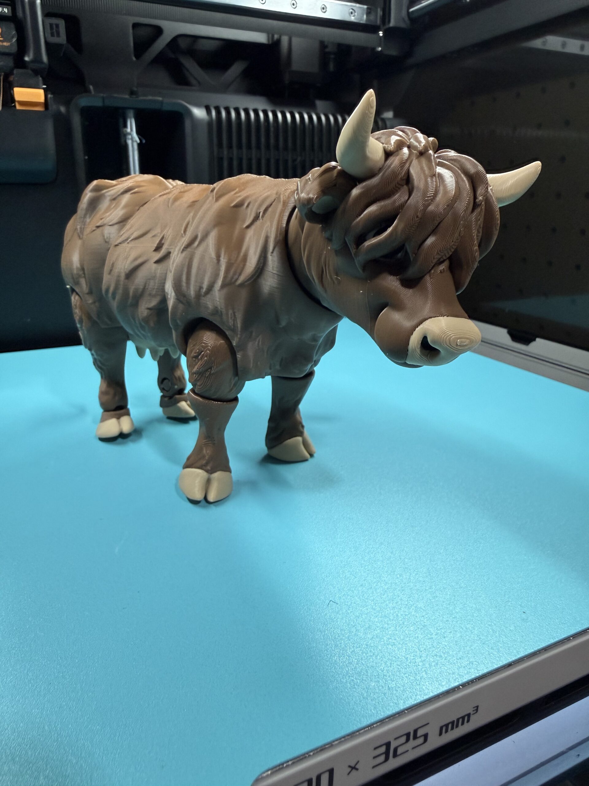 Highland Cow - Image 3