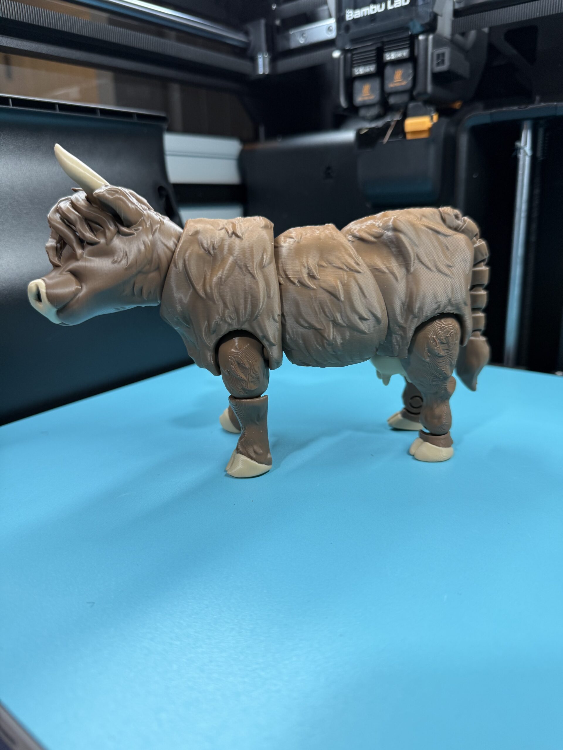 Highland Cow - Image 2