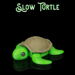 Slow Turtle