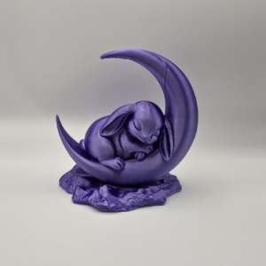 Sleepy Bunny on the Moon